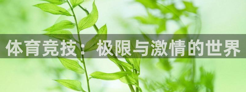 MK体育官网下载平台注册流程视频:体育竞技:极限与激情的世界