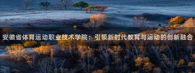 MK体育官方正版app娱乐首页网站大全:安徽省体育运动职业技