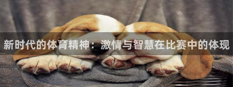 MK体育官网下载招商:新时代的体育精神:激情与智慧在比赛中的
