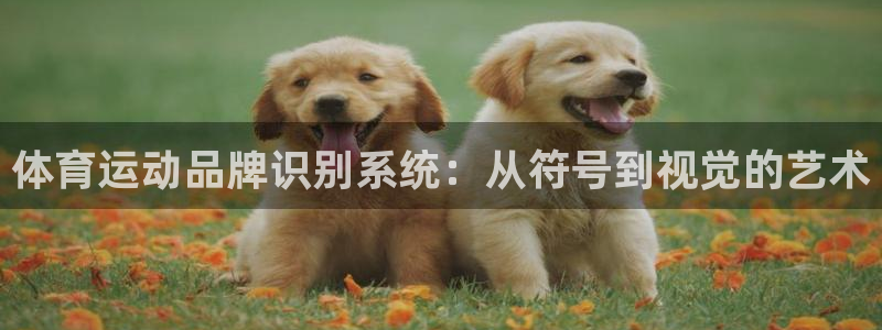 MK体育官方正版app娱乐网站:体育运动品牌识别系统:从符号